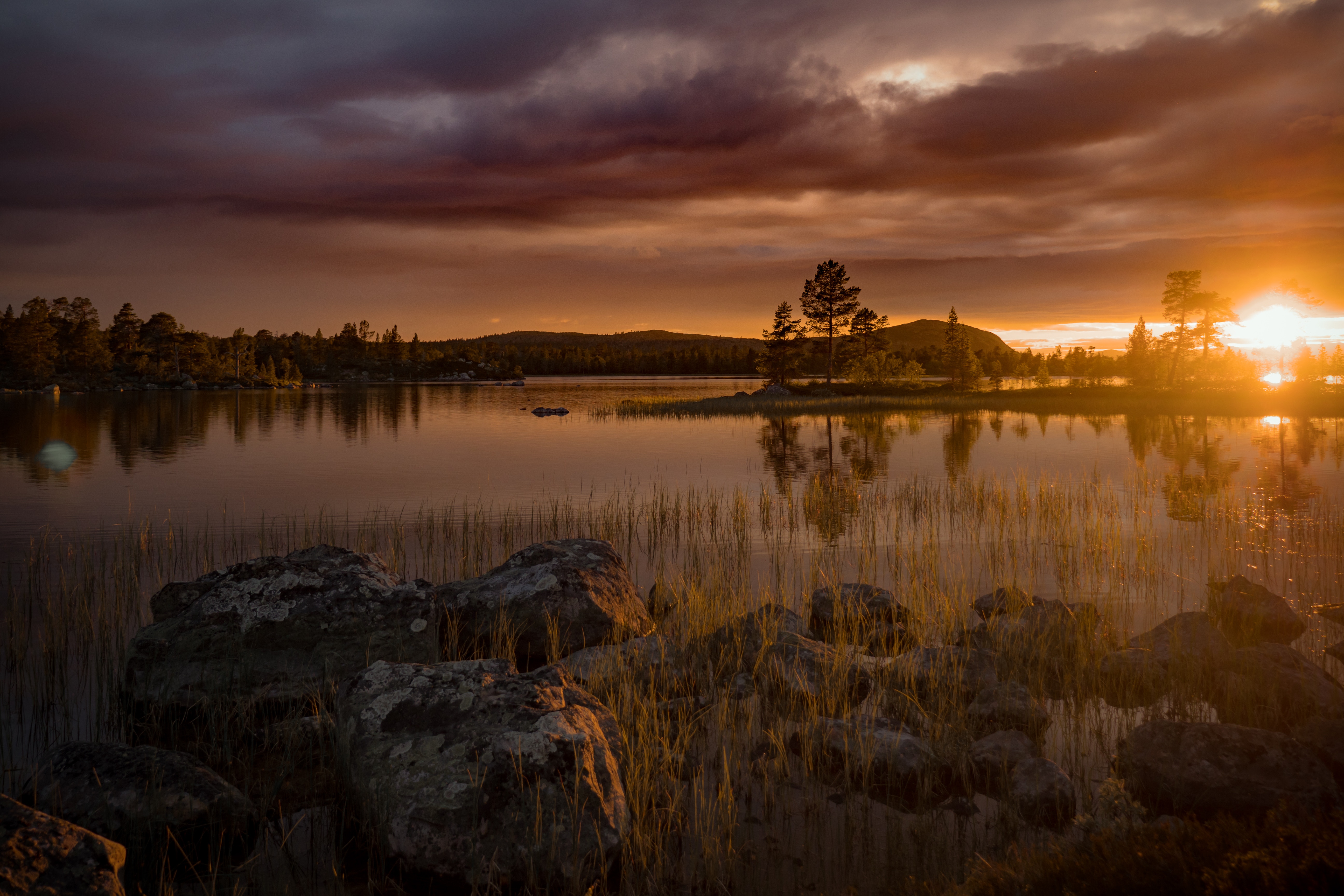 Photographier l'automne en Suède